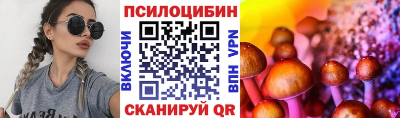 Псилоцибиновые грибы MAGIC MUSHROOMS  Купить закладки  Краснознаменск 